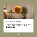 김해 마사지 고급스파인데 믿을 수 없는 가격 오하라스파