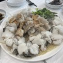 감포일출복어 이미지