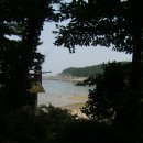 천리포선착장 이미지