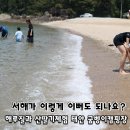동해 바닷물처럼 시원하고 깨끗한 태안 굼벵이캠핑장 산딸기 체험까지