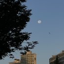 파랑새 투어 강원도 여행 당일치기