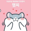 헬로펫 이미지