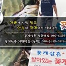 화영수산 네이버블로그