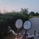 신비바이크 이미지