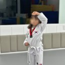 용인대 스타 태권도장 이미지