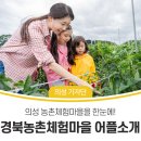 일산자두골마을 이미지