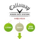 만나스크린골프 이미지