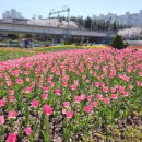 낙동강관리본부 화명생태공원 15 이미지