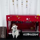 맛있개 먹었냥 이미지