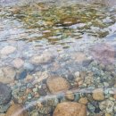 보라빛 낭만펜션 이미지