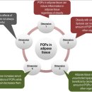 Re:Persistent Organic Pollutants and Type 2 Diabetes - 2018 이덕희 교수 review 이미지