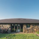 눈먼고래 이미지