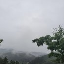 토리아이 이미지