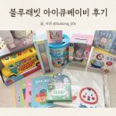 블루래빗 아이큐베이비 풀세트 시기부터 핫딜까지