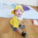 세민