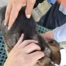 종합가축약품 이미지