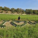충청북도자치연수원