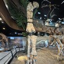 신영통 태안농협 앞 | 태안 아이와 가볼만한곳, 국내 최대 진품 화석 안면도 쥬라기박물관