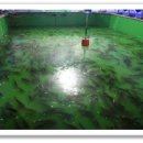 123실내낚시터 이미지