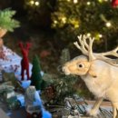 키즈풀숲 이미지