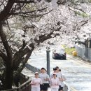 선라이즈 이미지