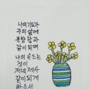성구 Daum카페