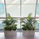 작은공간 | 김해 휴게실 플랜테리어, 그린지대와 함께 완성한 실내 속 작은 숲 힐링 공간 후기