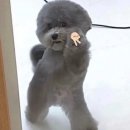 일일 | 울산 프리다이빙 플레이스유, 일일체험 솔직후기