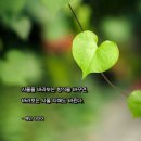 고대1123 | 사랑 명상 1123