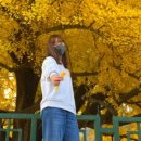 은행나무1길 이미지