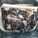 한닢김밥 네이버블로그