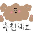 장보는강아지와 고양이 성성점 이미지