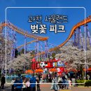 서울랜드 야외수영장 | 서울랜드 벚꽃 피크 찍었습니다 🌸 애니멀킹덤 공연까지 꼭 보세요 (딸 공연 후기)