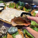 한 웅큼의 빛 | [여수] 여서동술집 골목에서 가격 고민하다 결국 바다 한 판 제대로 털어먹은 여수회맛집 ‘회먹다’