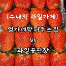 [분당] 수내 과일가게 과일공판장 / 엄가네막퍼주는집