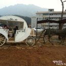 장흥세탁소 이미지