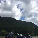 영월식당 이미지