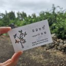 부영농장3 이미지