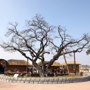 역사문화체험관 이미지