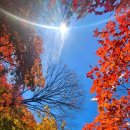 새재마당바위 이미지