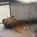 (주)신세인 이미지