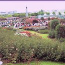 조선대학교 이미지