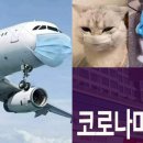 프라임시티부동산공인중개사사무소 이미지