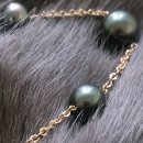 Pearl 티스토리