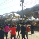 미산 고로쇠 축제 이미지