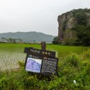 람사르습지길 이미지