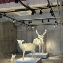 아라리오 뮤지엄 탑동 시네마 이미지