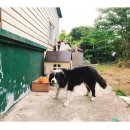 베티하우스 이미지