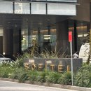 로또하우스 | 호주 시드니 여행 3월 :: 패디스마켓 납작복숭아 로또 오페라하우스 바토티