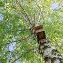 굿모닝보청기(서대전점) 이미지